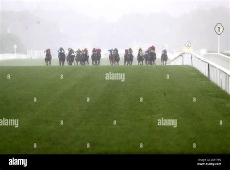palace of holyroodhouse stakes trends|Palace Of Holyroodhouse Stakes .